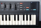 Casio SK-10 Mini Portable Sampling Keyboard - Vintage Lofi Poly Sampler