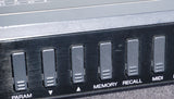 Yamaha R100 80's Digital Reverb Effects Processor 1/2 U Module