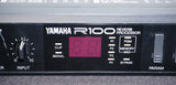 Yamaha R100 80's Digital Reverb Effects Processor 1/2 U Module