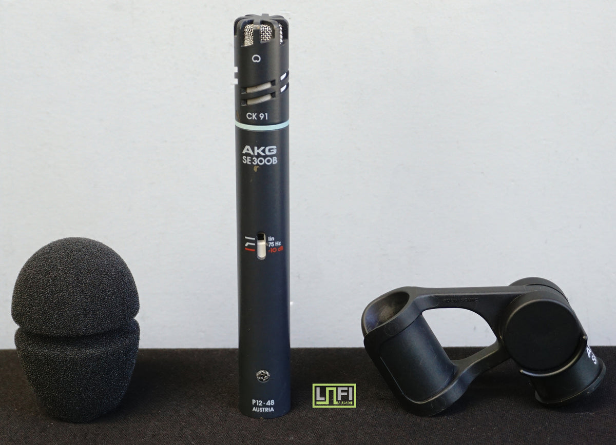 AKG C391B (SE300/CK91) High-Performance Small-Diaphragm Condenser