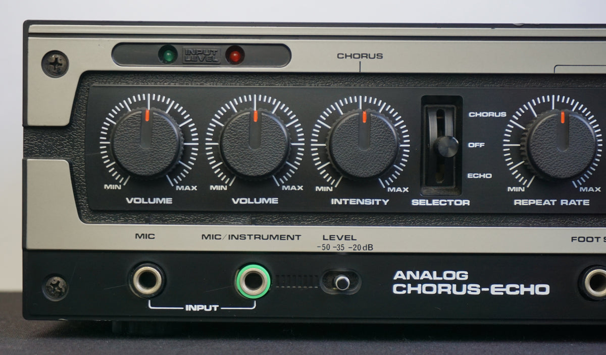 Roland DC-30 Analogue Chorus Echo Vintage 80's Effect Module