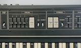 Roland RS-09 Organ Strings 70's / 80's Vintage Polyphonic Synthesiser - 100V - image 3