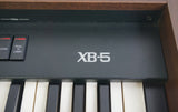 Hammond XB-5 Vintage Dual Manual 61-Key Digital Drawbar Organ & Road Case - 240V - image 6