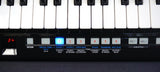 Roland Lucina AX-09 Black Keytar / Synthesiser W/ USB MIDI Case & More! - image 6