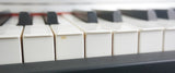 Kawai MP-9500 Stage Piano Professional 88 Weighted Wooden Key Digital Piano 100V - image 10