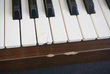 Hammond XB-5 Vintage Dual Manual 61-Key Digital Drawbar Organ & Road Case - 240V - image 12