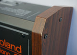 Roland EP-09 Vintage Electronic Piano With Preset Sounds & Arp! - 100V - image 12