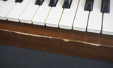 Hammond XB-5 Vintage Dual Manual 61-Key Digital Drawbar Organ & Road Case - 240V - image 13