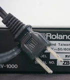 Boss RV-1000 Digital Reverb DSP 1U Effect Rack - 100V - image 13