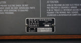 Roland EP-09 Vintage Electronic Piano With Preset Sounds & Arp! - 100V - image 18