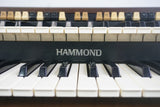 Hammond XB-5 Vintage Dual Manual 61-Key Digital Drawbar Organ & Road Case - 240V - image 18