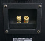 Sony SS-SRX7S Surround Speaker Pair & SS-CN35 Centre Speaker - image 19