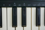 Casio SK-1 Portable Sampling Keyboard Vintage Lofi Polyphonic Sampler - image 7