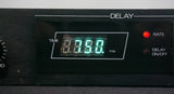 Roland SDE-1000 1U Rack Mount Digital Delay Vintage Effects Unit - 100V - image 7