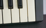 Casio SK-1 Portable Sampling Keyboard Vintage Lofi Polyphonic Sampler - image 6