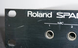 Roland RE-3 Space Echo / Digital Echo 1U Rack Mount Effects Unit - 100V