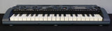 Korg MS-1 MicroSampler Mini Portable Polyphonic Sampling Keyboard Workstation