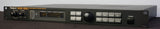 Roland SDE-330 Dimensional Space Delay Digital 1U Rack Effect Processor - 100V