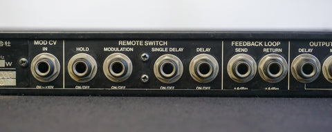 Roland SDE-2000 Vintage 80's Digital Delay 1U Rack Mount FX - 100V