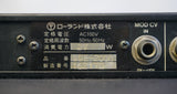 Roland SDE-2000 Vintage 80's Digital Delay 1U Rack Mount FX - 100V