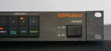 Roland SDE-1000 1U Rack Mount Digital Delay Vintage Effects Unit - 100V