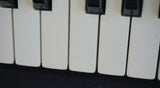 Roland AX-1 Red Master MIDI Keyboard Controller 90's Keytar
