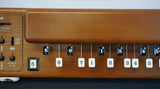 Suzuki TES-100 Waraku Electric Taishogoto Koto Synthesiser Harp w/ MIDI & Case!