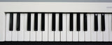 Yamaha SHS-300 White Sonogenic Keyboard Keytar W/ USB Connectivity