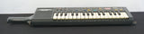 Nissin C-16 Cup Noodle Synthesiser Portable Vintage Polyphonic Sampler Casio SK1