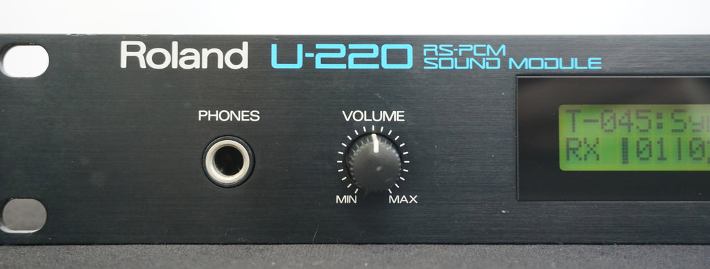 Roland U-220 2台セット DSC07467_25b759d2-a413-49a4-