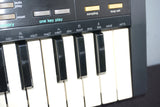 Casio SK-1 Portable Sampling Keyboard Vintage Lofi Polyphonic Sampler