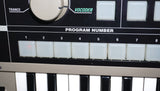 Korg MicroKorg Small Portable Analogue Modelling Synthesiser