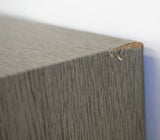 Diatone DS-55XL Low Leakage Magnetic Flux Bass Reflex Passive HI-FI Speaker Pair