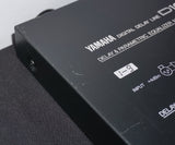 Yamaha D1030 90's Professional Digital Delay Line 1U Effects Rack - 100V